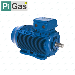 نمایش جزئیات برای الکتروموتور 0.75 کیلووات WEG تصویر الکتروموتور 0.75 کیلووات WEG